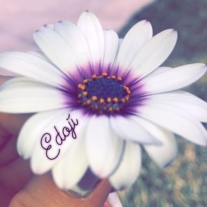 Meet your Posher, Melanie